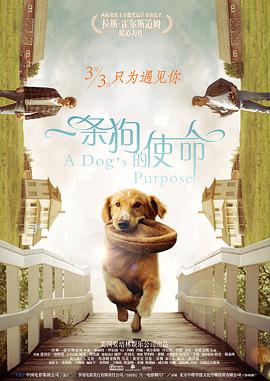 青青草视频在线观看
